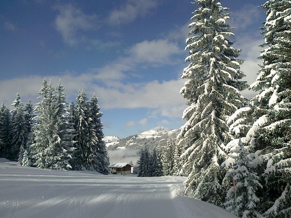 Chavannes 7 Feb 10